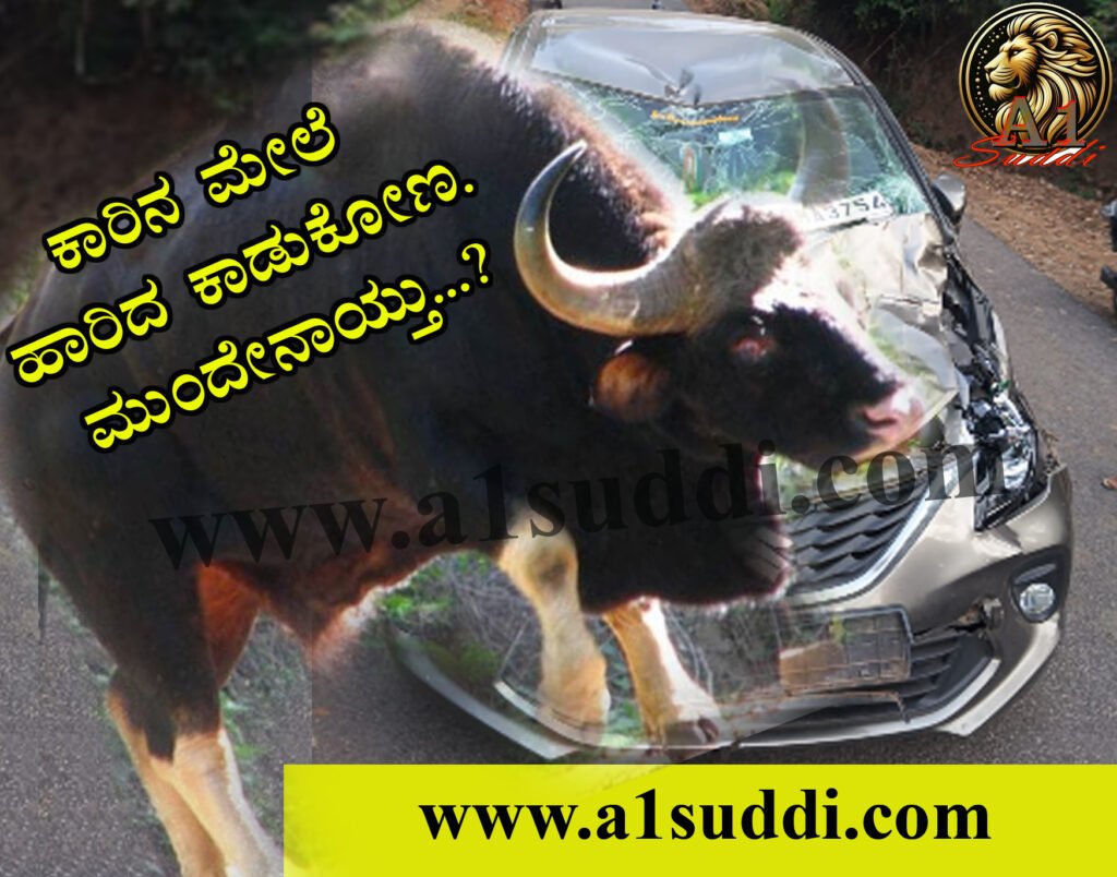 ಕಾರಿನ ಮೇಲೆ ಹಾರಿದ ಕಾಡುಕೋಣ…